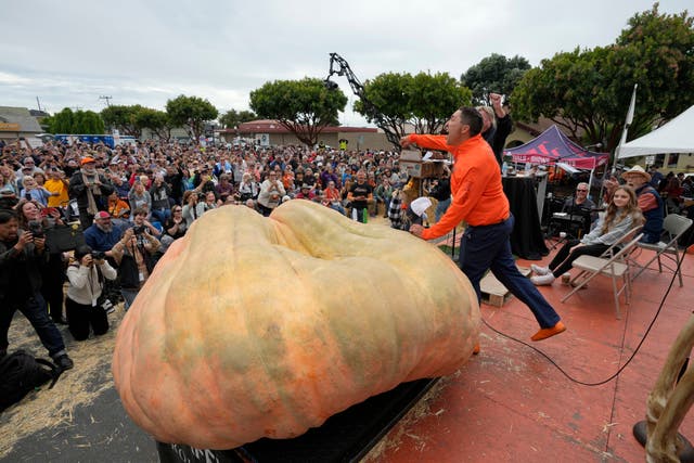 Giant Pumpkin Winner