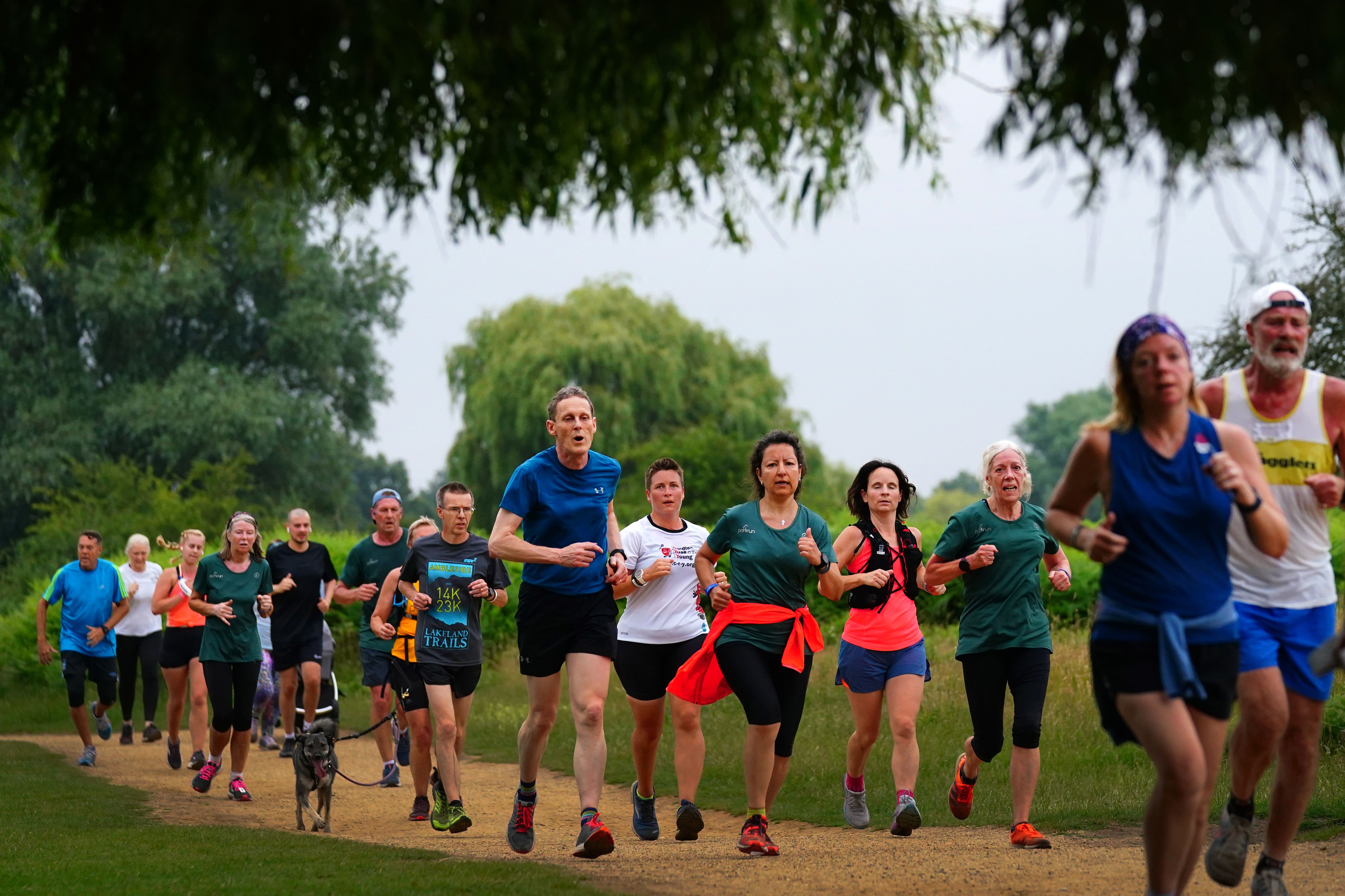 Runners taking part in the Bushy Park Parkrun