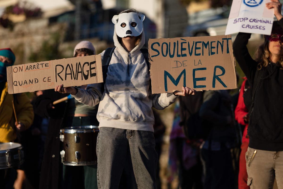 Cruise passengers told to ‘go home’ by protesters dressed as polar bears