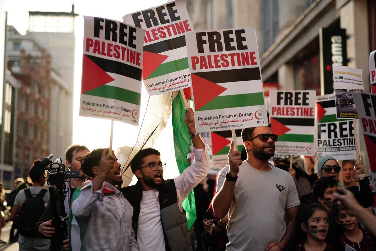 Labour&rsquo;s John McDonnell urges supporters of Palestinians to push for ceasefire