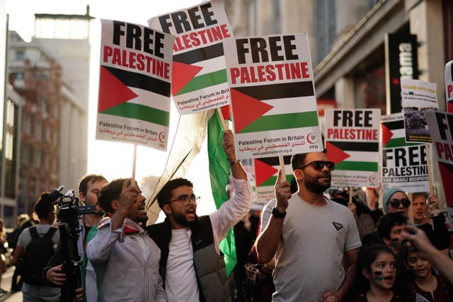 People take part in a Palestine Solidarity Campaign (Jordan Pettitt/PA)