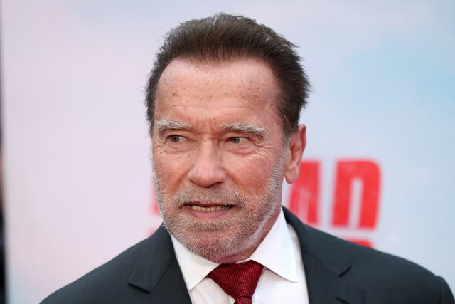 <p>Arnold Schwarzenegger is being sued over 2022 car crash </p>