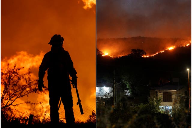 <p>A firefighter is silhouetted by the flames of a forest fire on the outskirts of Villa Carlos Paz, Argentina</p>