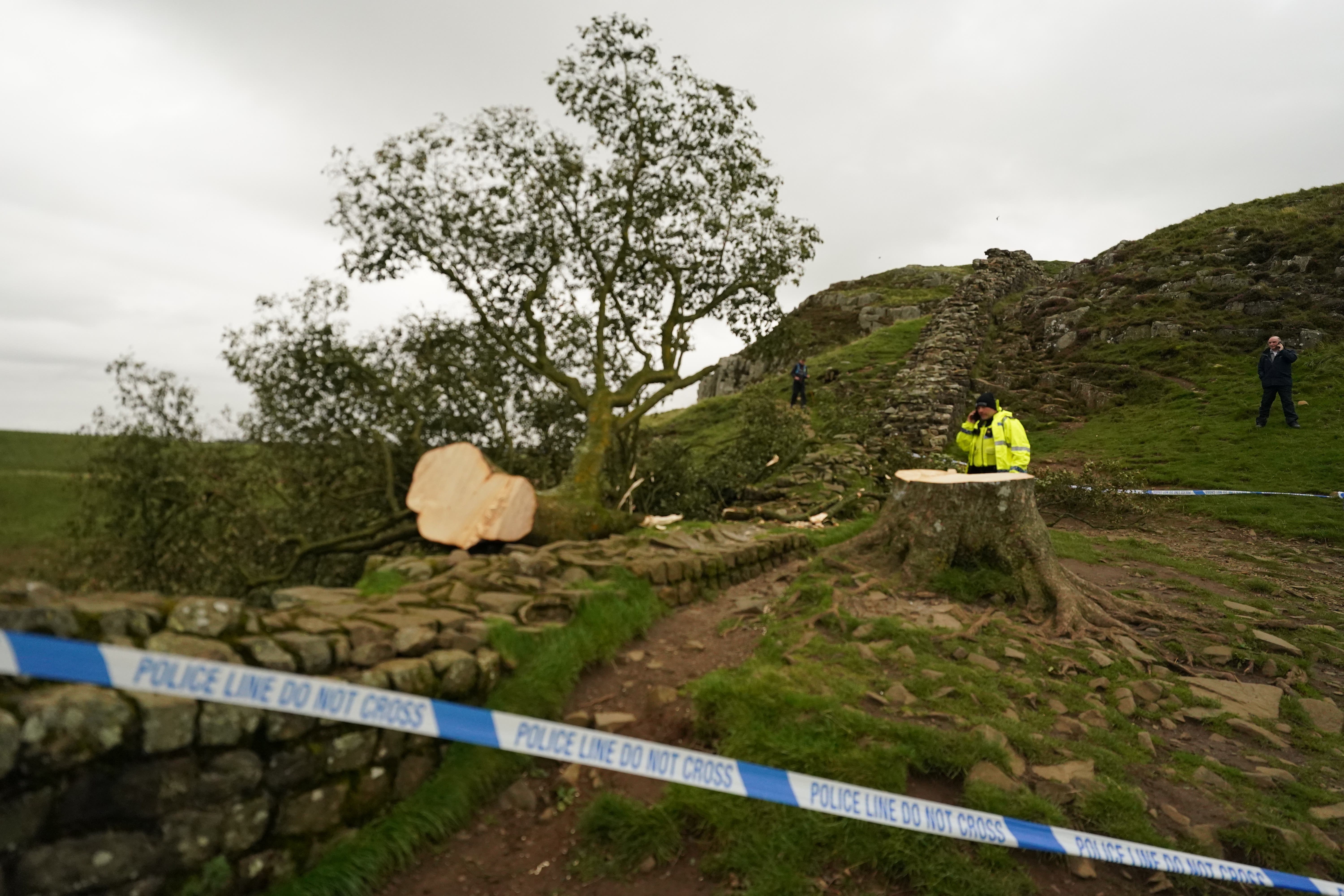 Police investigations are continuing into how the famous tree at Sycamore Gap came to be felled (Owen Humphreys/PA)