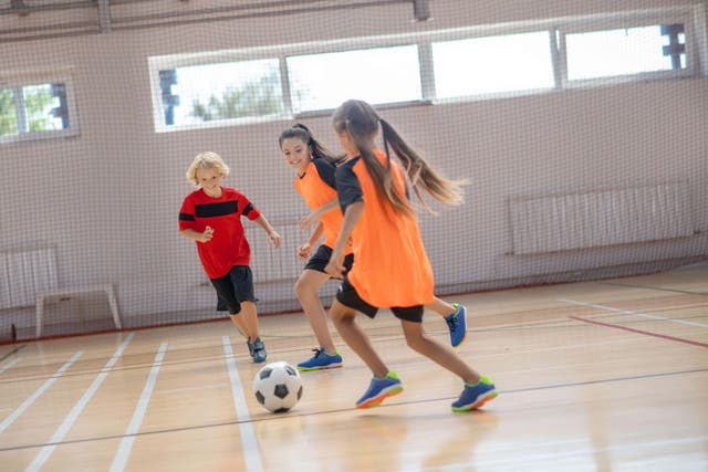 Survey finds girls are less likely than boys to enjoy school sports (Alamy/PA)