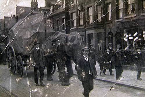 The Bostock and Wombwell Menagerie was a travelling exhibition of exotic animals