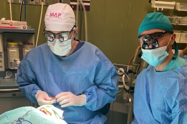 <p>Dr Ghassan (left) is a British surgeon in Gaza and says that forty percent of casualties they are treating at Al Shifa hospital are children </p>