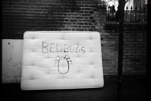 The mild weather could lead to an infestation of bedbugs in the UK (Alamy/PA Images)