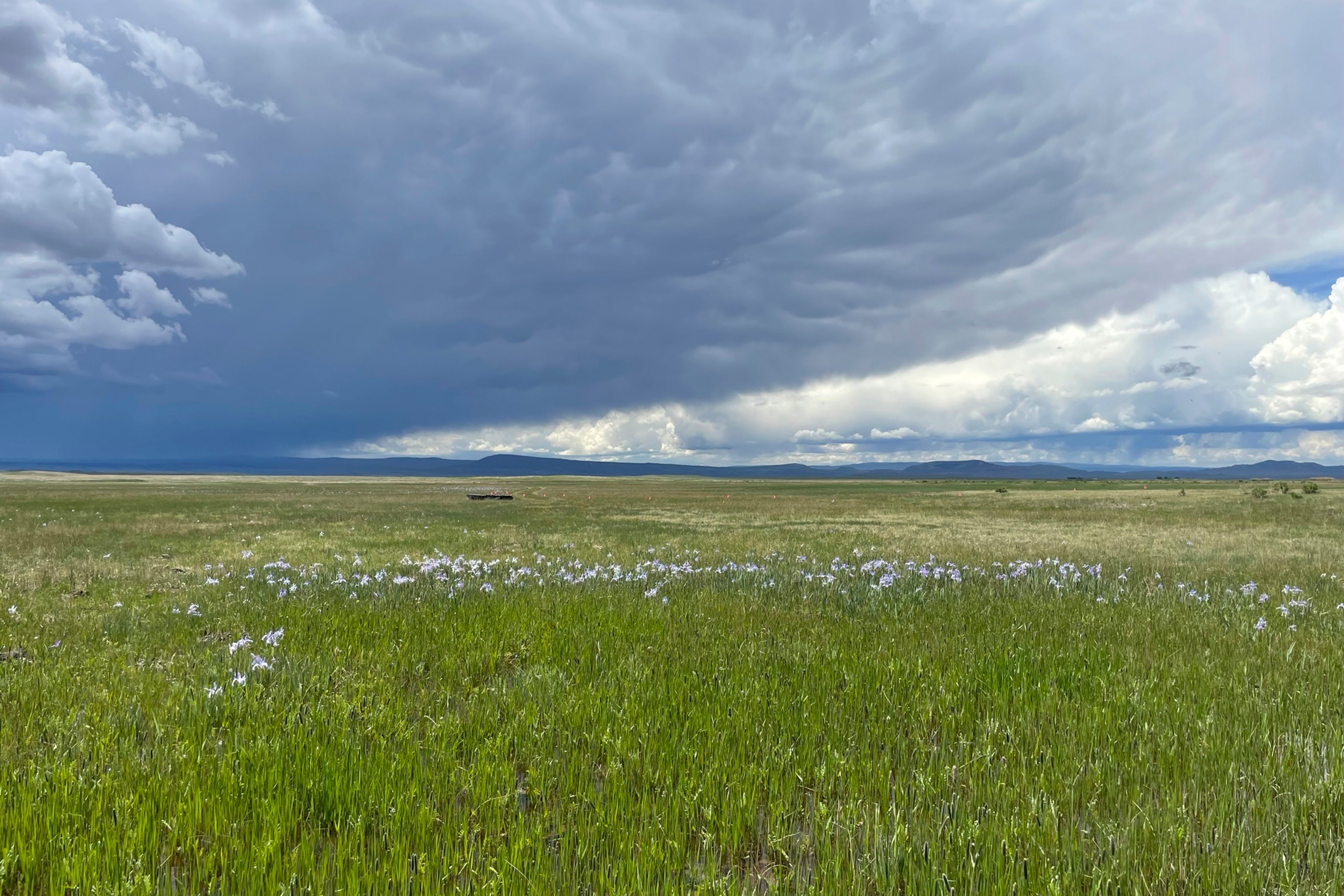 CORRECTION Wildlife Refuges