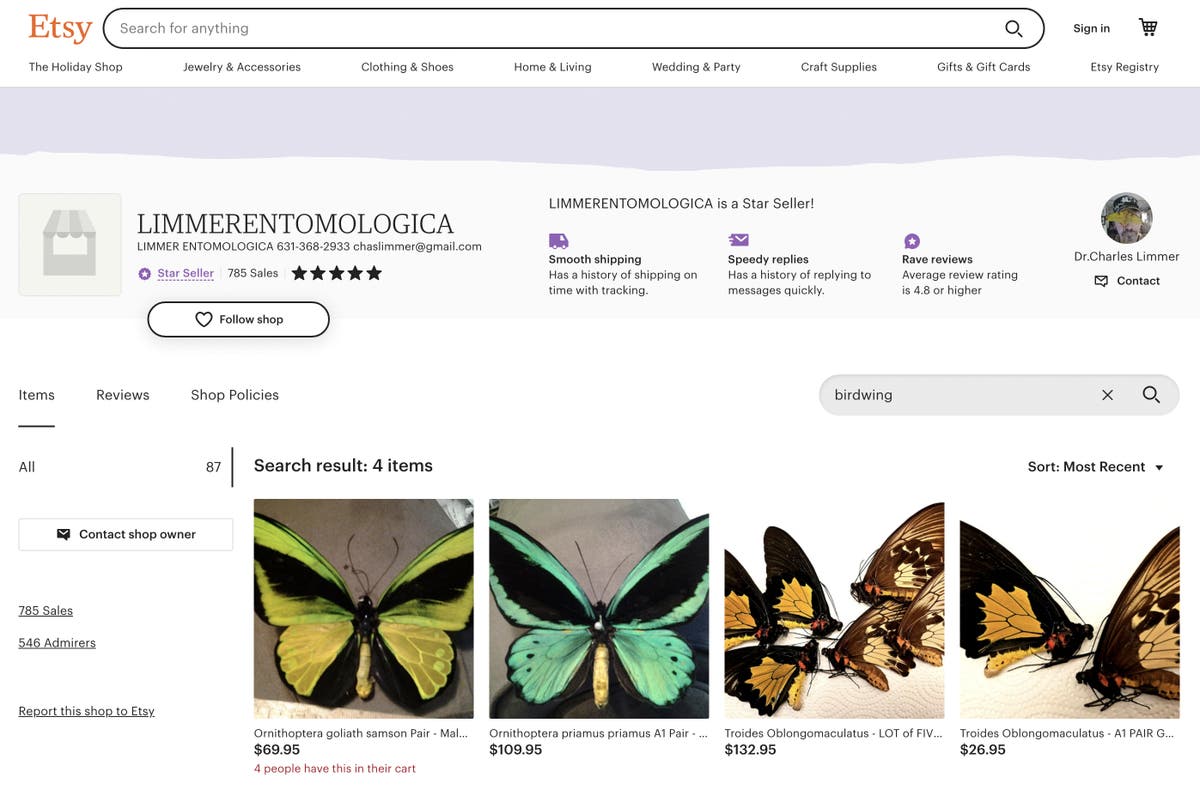 Rare birdwing butterflies star in federal case against NY man accused