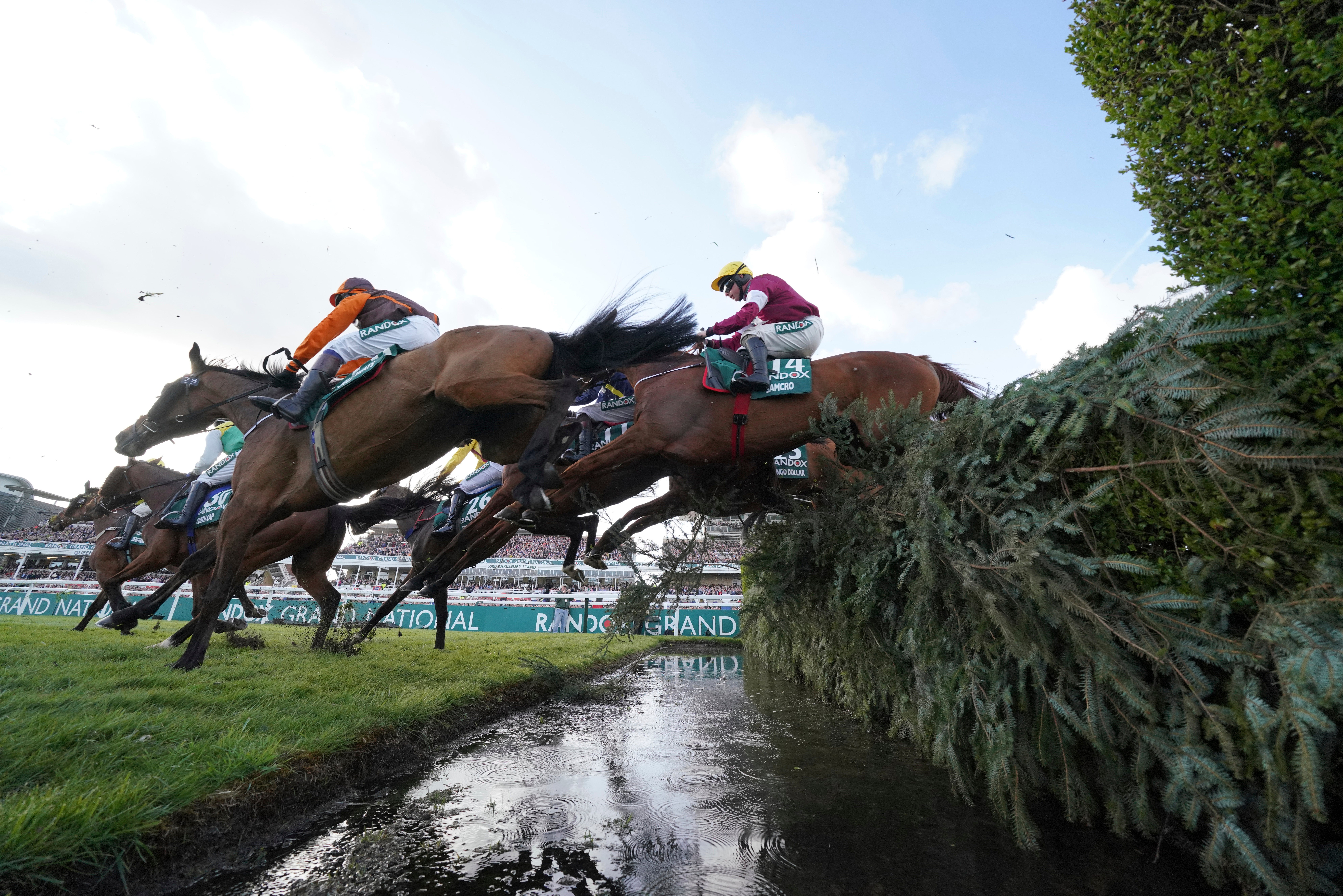 Britain Grand National Changes