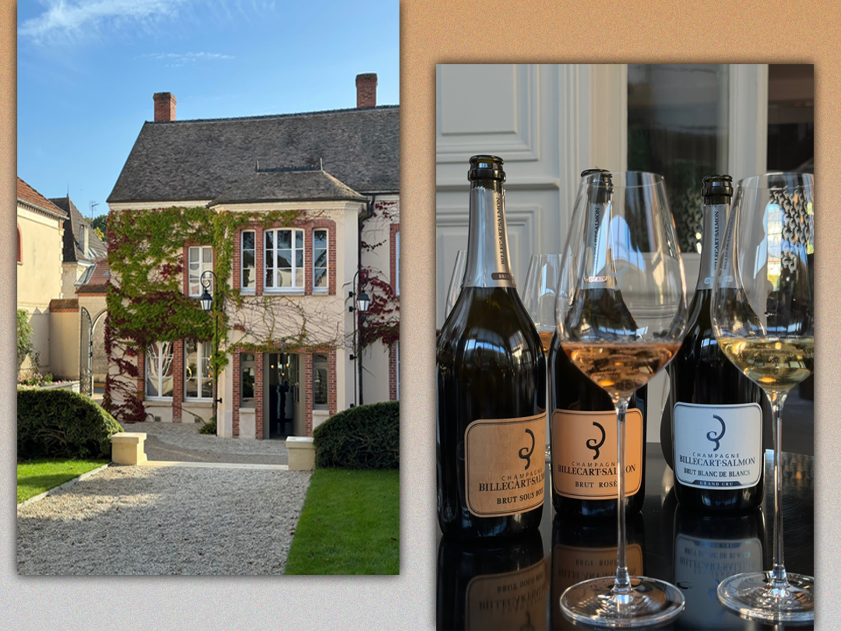Visit of Epernay & Multiple Champagne Tastings in a Vineyard