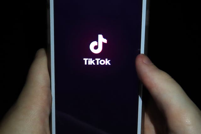 Researchers said a study demonstrates that incel ideology is present, popularised and thriving on TikTok (PA)