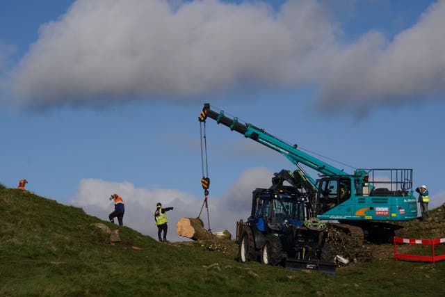 Work begins to remove the felled Sycamore Gap tree, on Hadrian’s Wall in Northumberland (Owen Humphreys/PA)