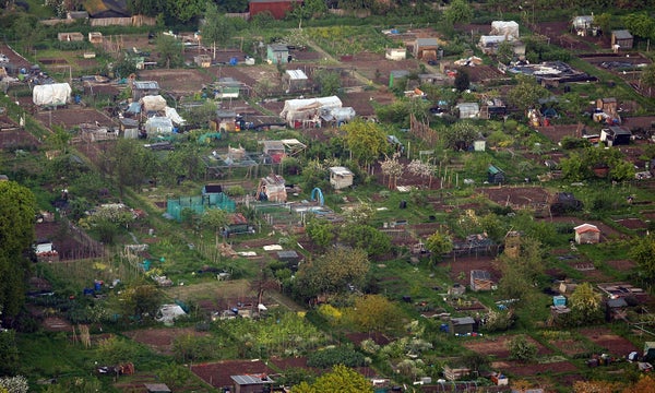 Allotments