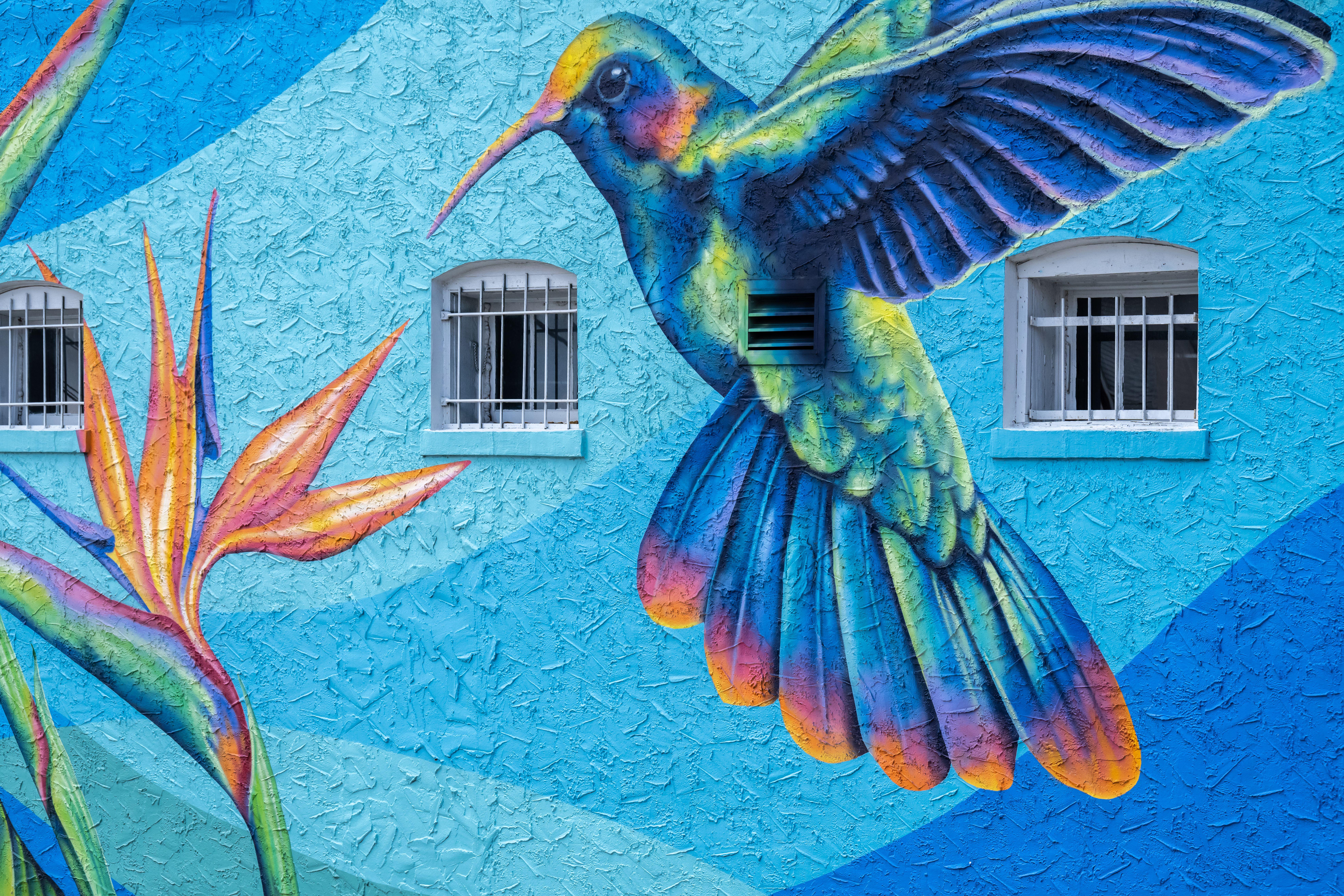 Stunning murals like this hummingbird on boutique fashion store Doxology in Winter Garden bring a colourful edge to the city