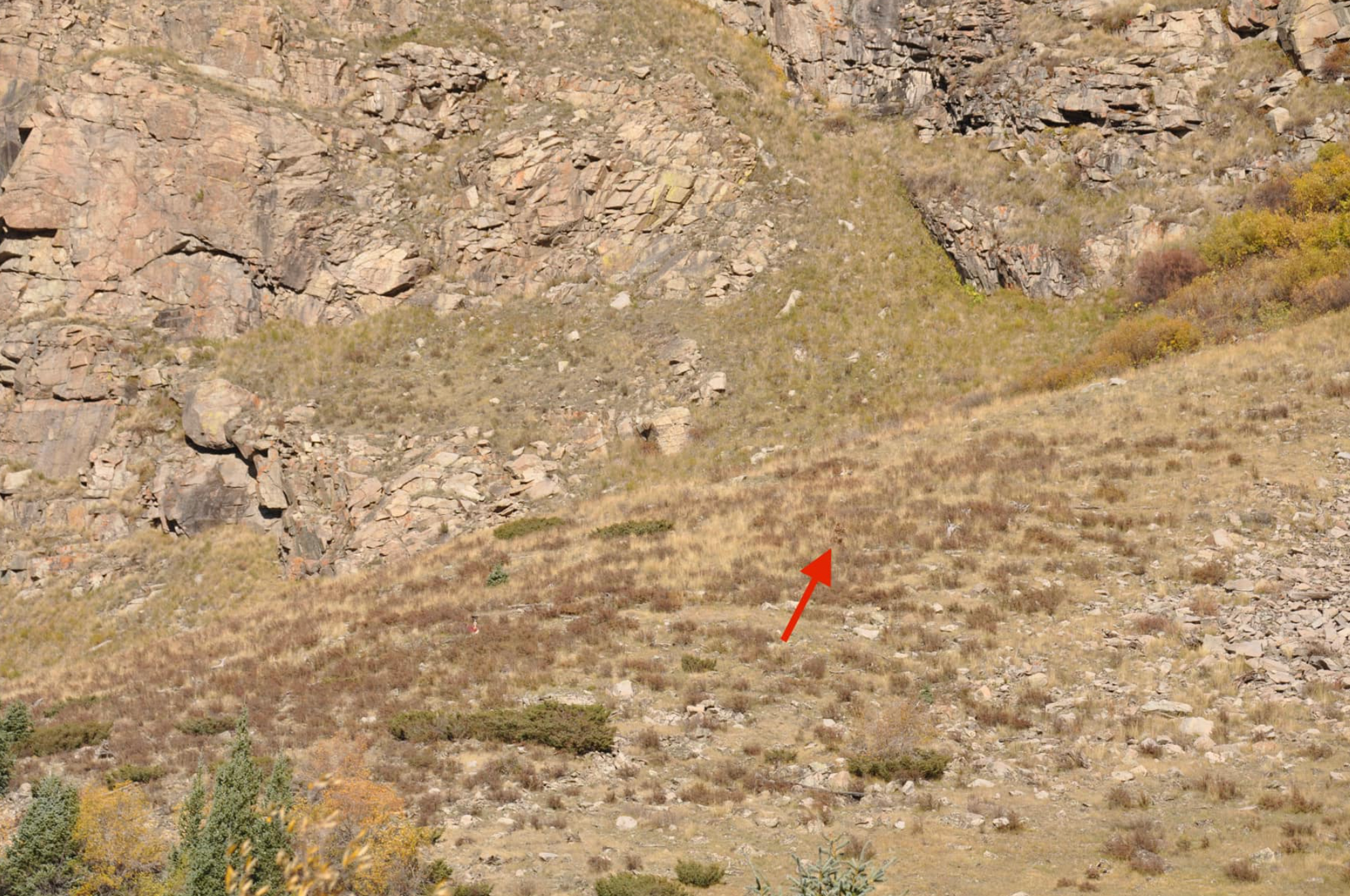 ‘Bigfoot’ spotted walking on mountainside in rural Colorado