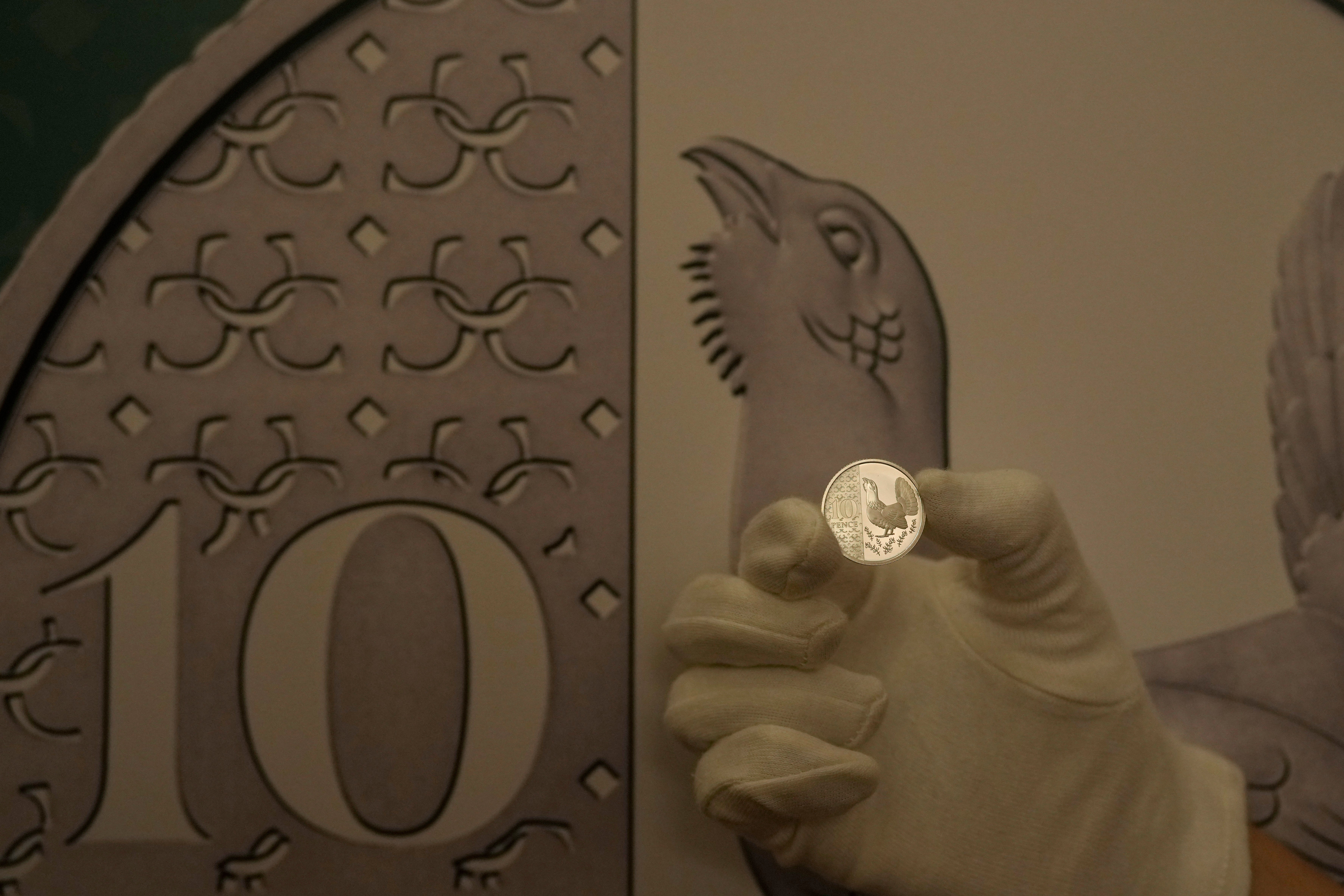 A detail showing the new 10 pence coin showing the Capercaillie motif on display