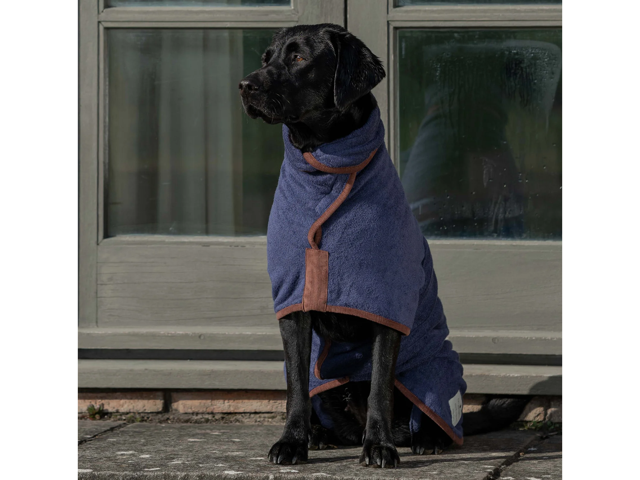 Ruff and Tumble dog drying coat