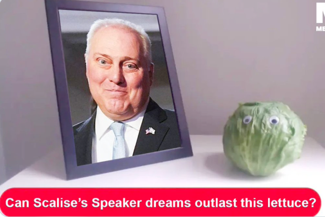 <p>Steve Scalise’s aspirations to be speaker were ompared to the shelf-life of a lettuce</p>