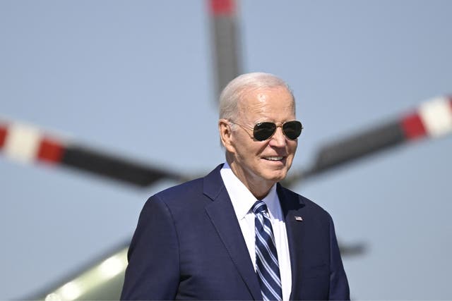 <p>When Biden turned 80 last November he became the first octogenarian to ever serve as US president</p>
