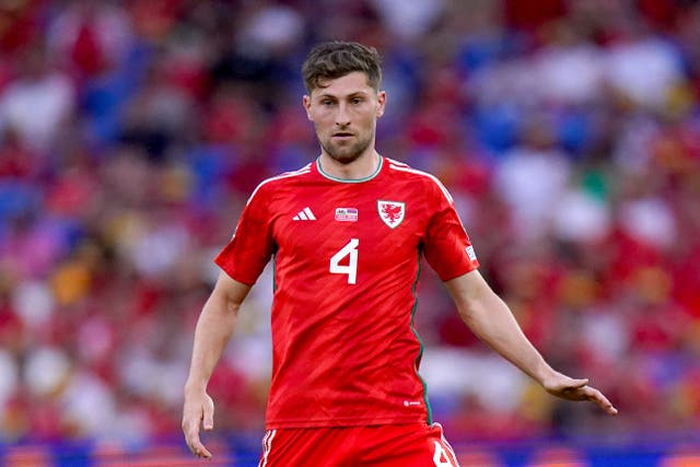 Ben Davies has urged Wales to replicate past Cardiff performances in their vital European Championship qualifier against Croatia (Adam Davy/PA)