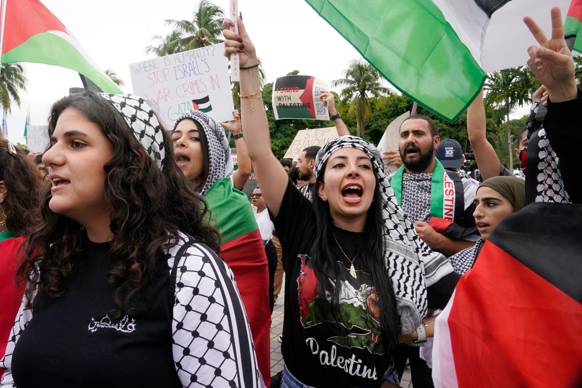 Thousands to march in London pro-Palestinian protest as Gaza expects