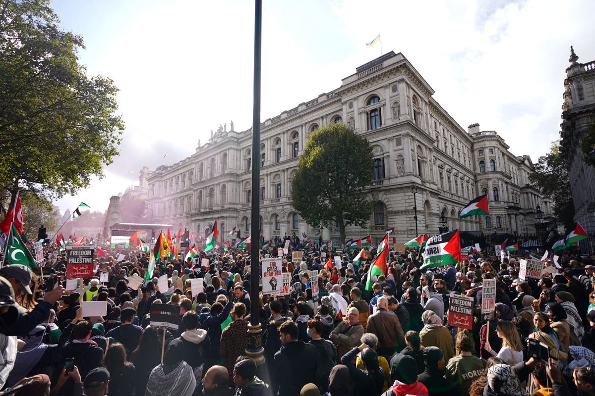 Thousands take to the streets of London for pro-Palestine protest