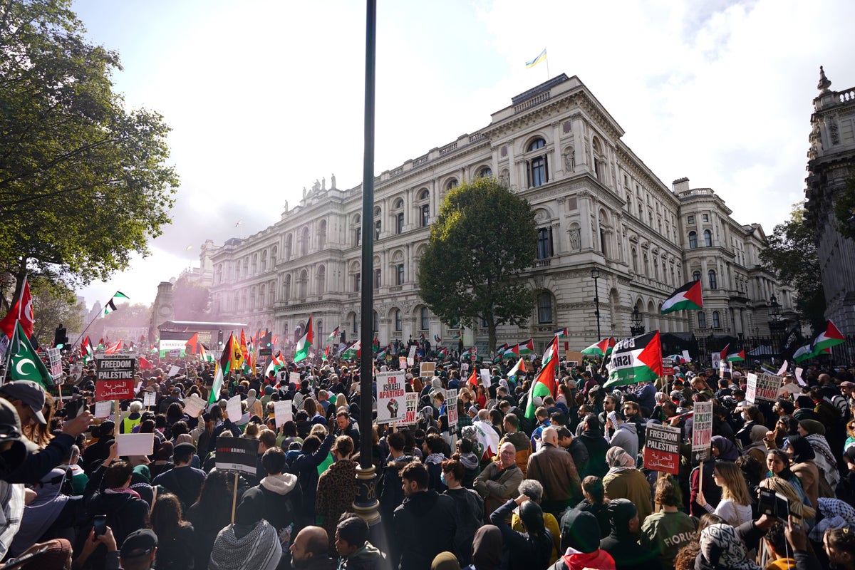 Tens of thousands take to the streets of London for pro-Palestine protest