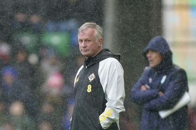 Michael O’Neill want to carry momentum forward (Niall Carson/PA)