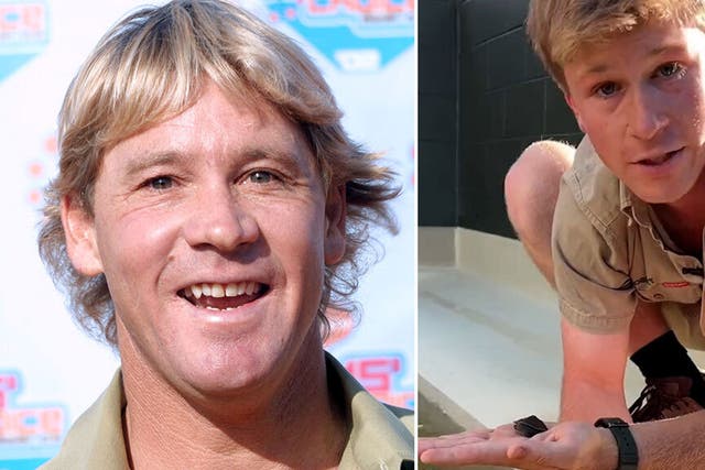 <p>Steve Irwin’s son reveals he has achieved conservation milestone late father contributed to</p>