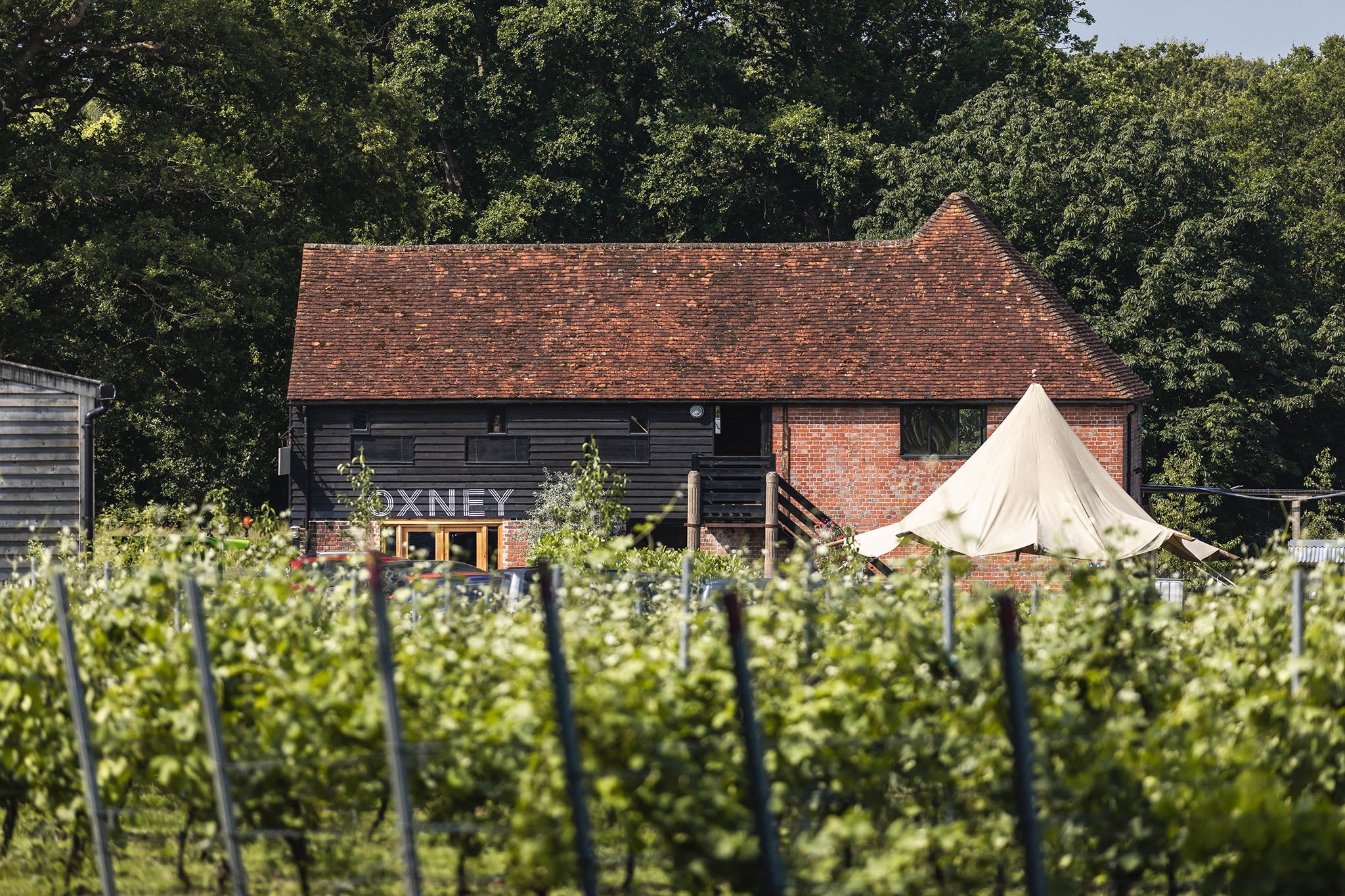 Oxney is famous for making some of the best organic wines in the country