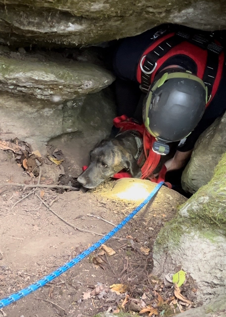 Rescue team gets a big surprise as they save dog from Tennessee cave ...