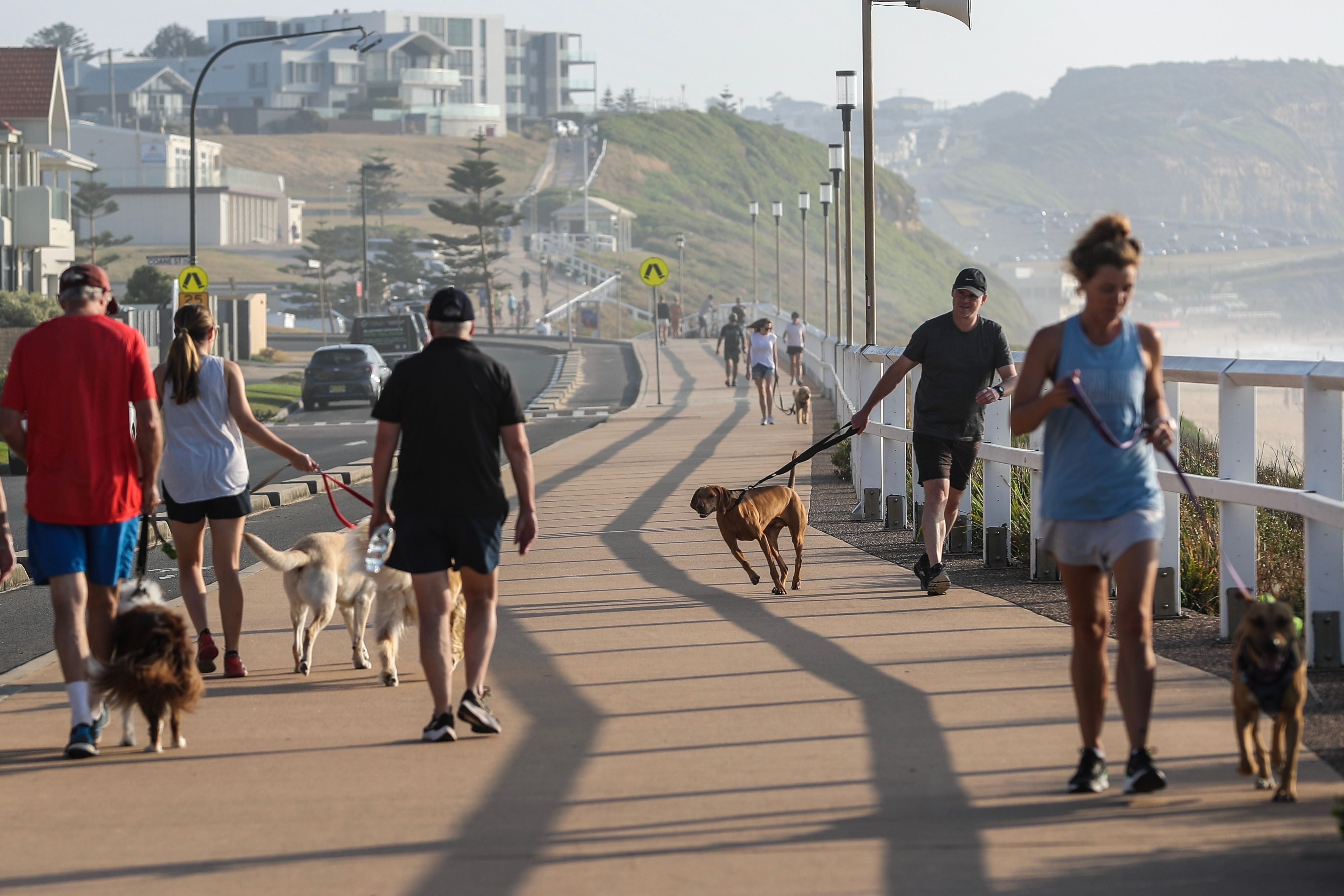 Representative: People walk their dogs in Australia