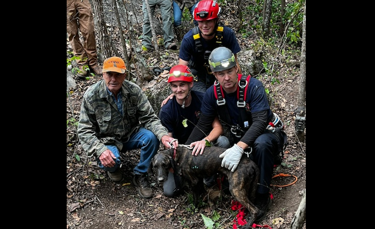 Rescue team gets a big surprise as they save dog from Tennessee cave - Vimarsana News
