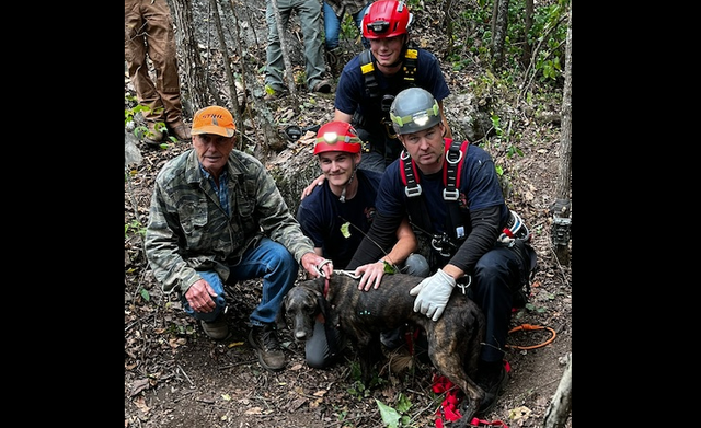<p>Rescue teams banded together to save Charlie from a cave that he was sharing with a huge bear </p>