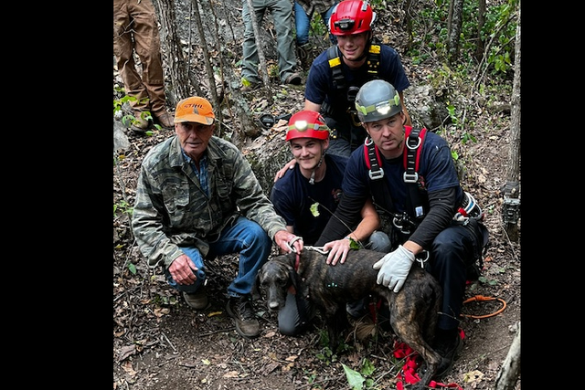 <p>Rescue teams banded together to save Charlie from a cave that he was sharing with a huge bear </p>