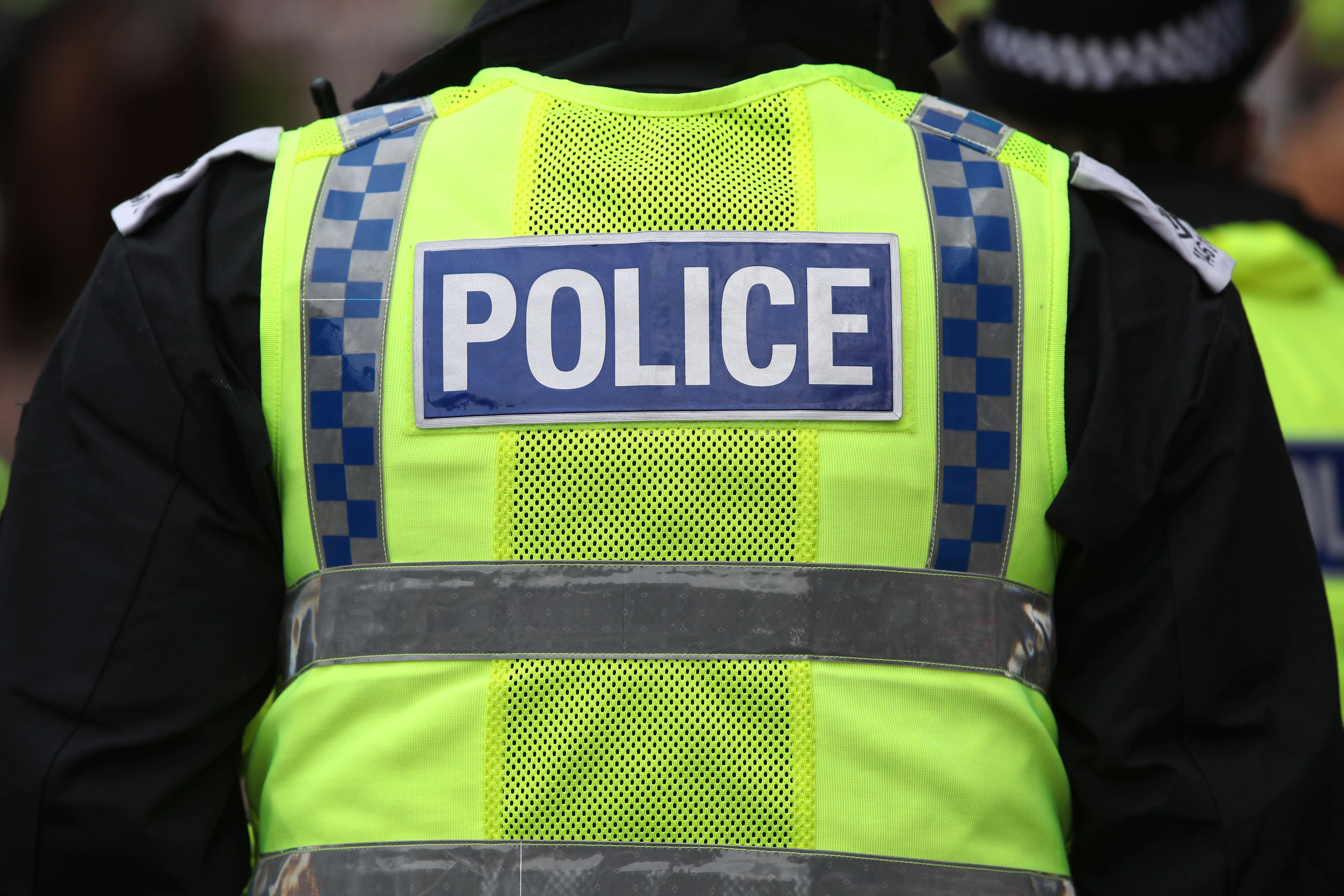 Man charged with animal cruelty offence after cat kicked off pavement - Vimarsana News