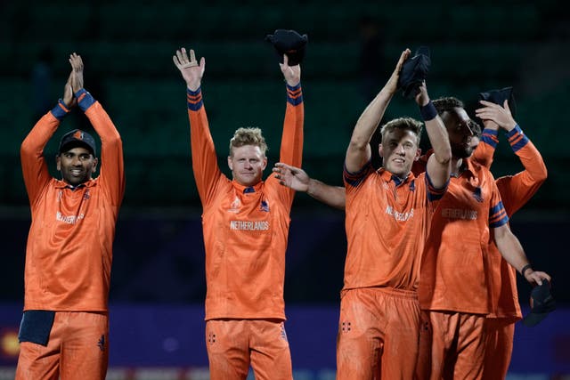 The Netherlands stunned South Africa at the Cricket World Cup (Ashwini Bhatia/AP)