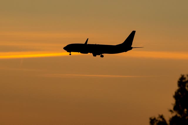 <p>Flight tickets are the most common fake item sold relating to holidays</p>