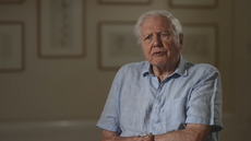 David Attenborough sends warning about ‘natural world’ ahead of Planet Earth return