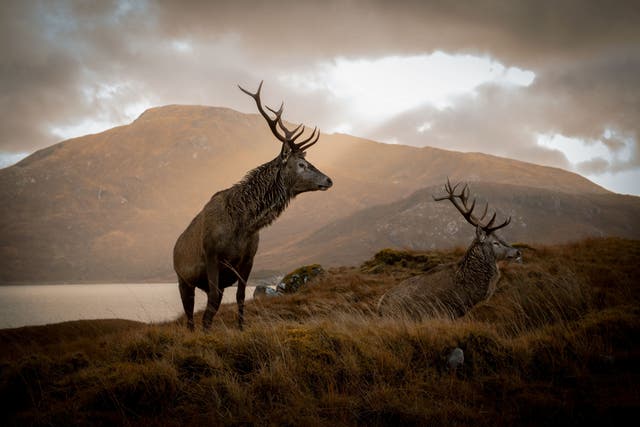 <p>A  poll of 2000 Brits revealed 11 per cent are stuck in a holiday rut</p>