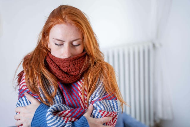 <p>Your heating is only as effective as the insulation in your home</p>