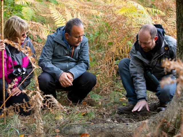 <p>Ed Drewitt shows guests how to spot signs of (wild)life in the Forest of Dean</p>