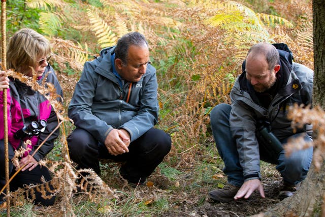 <p>Ed Drewitt shows guests how to spot signs of (wild)life in the Forest of Dean</p>