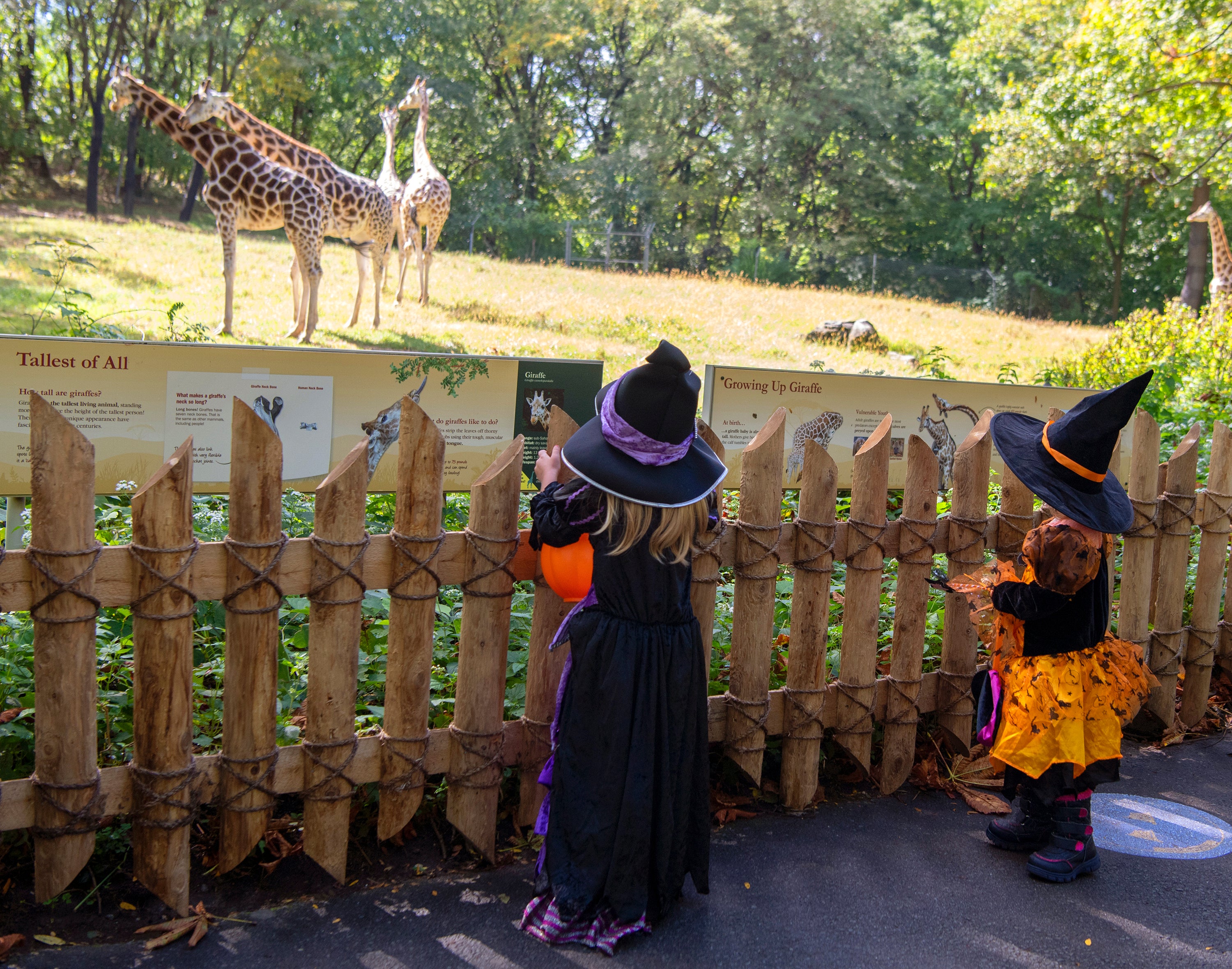 Halloween-Zoos and Gardens