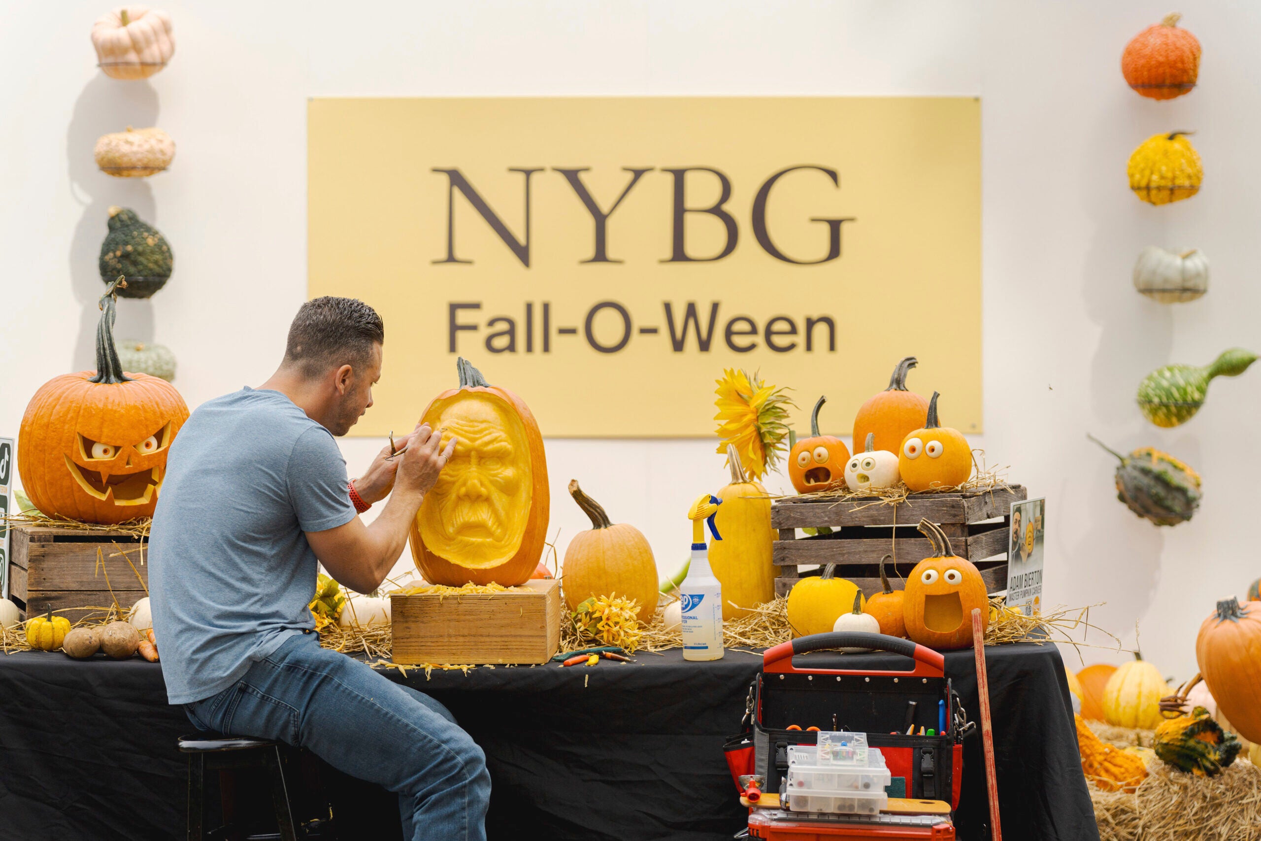 Halloween-Zoos and Gardens