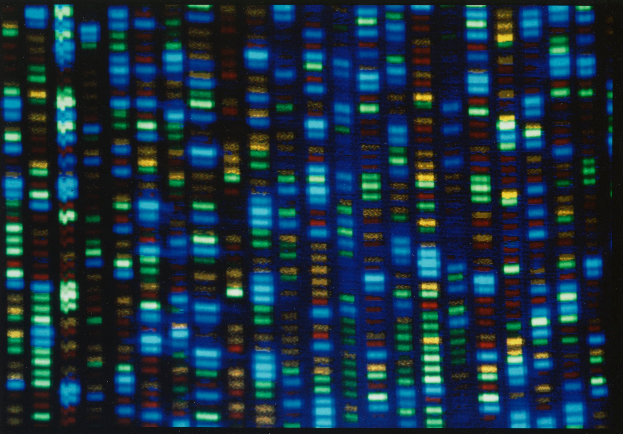 Output from a DNA sequencer. Look closely and you may spot the Gore genetic gift for public speaking