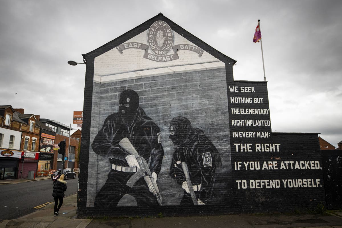 Need to &lsquo;deradicalise&rsquo; young loyalists in Northern Ireland, academic tells MPs