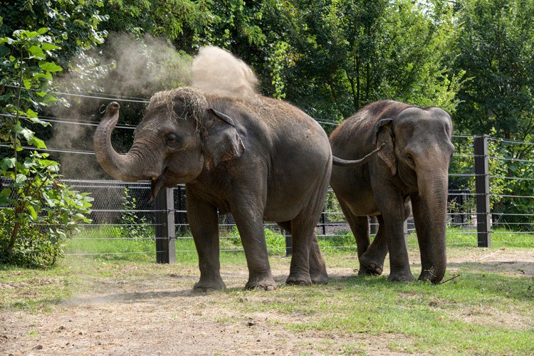 Rani (left) and her mother Ellie
